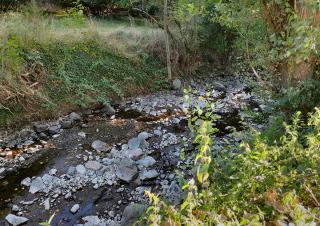 secheresse rivière 