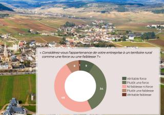 Question : « Considérez-vous l’appartenance de votre entreprise à un territoire rural comme une force ou une faiblesse ? »