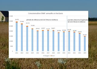 Consommation ENAF annuelle en hectares