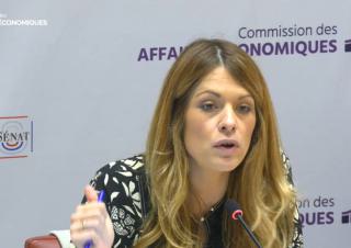 Audition de Maud Bregeon devant la commission des affaires économiques le 27 octobre