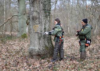 des agents de l'ONF en foret 