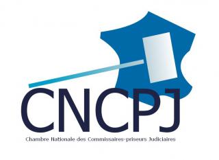 Logo CNPCJ