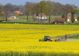 épandage de pesticides a proximité d'habitations