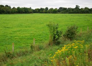 Saint-Loup Hors dans le Calvados 