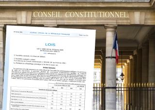 conseil constitutionnel 