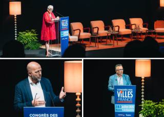 Françoise Gatel, Jean-François Debat et Yves Nicolin