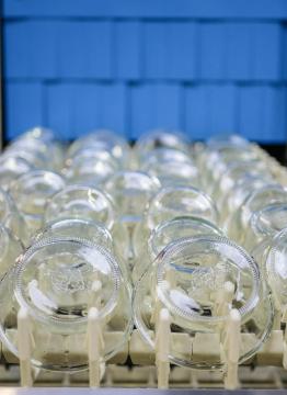 lavage de pots en verre