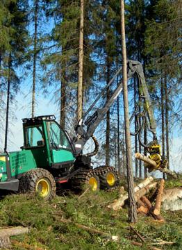 foret