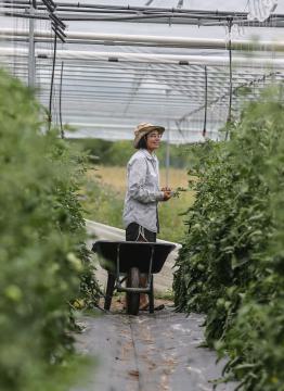 Démonstrateurs territoriaux des transitions agricoles et alimentaires - Serre TDM