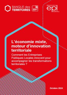 Couverture_L economie mixte moteur innovation territoriale