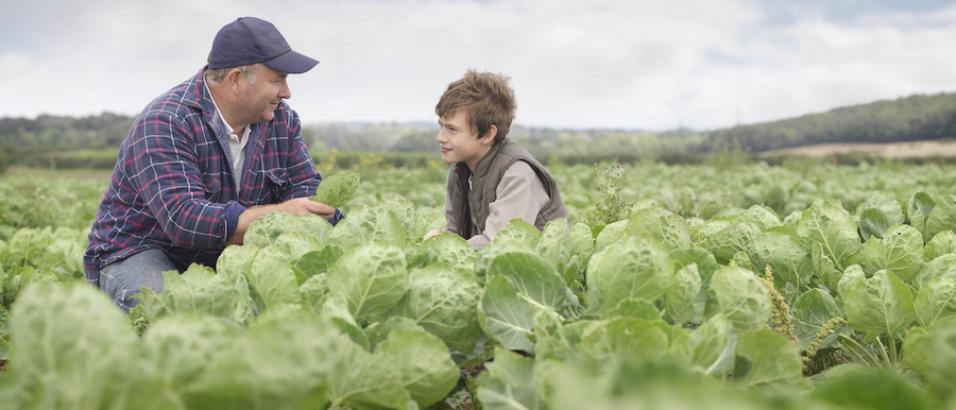 Foncier Agricole
